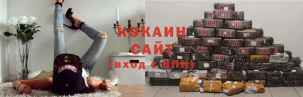 прущие грибы Абдулино