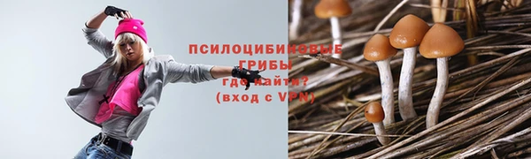 прущие грибы Абдулино