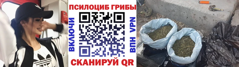 Псилоцибиновые грибы ЛСД  закладки  Томилино 