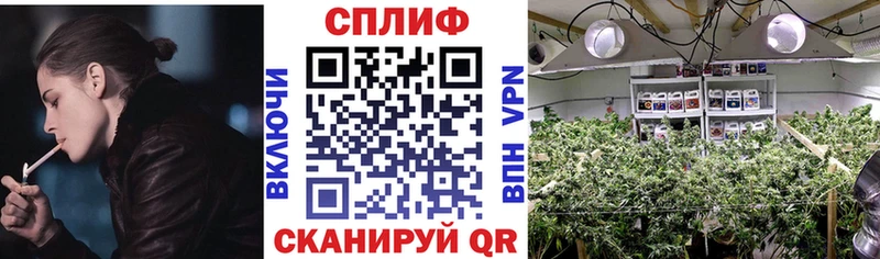 Бошки марихуана OG Kush  OMG зеркало  Томилино 